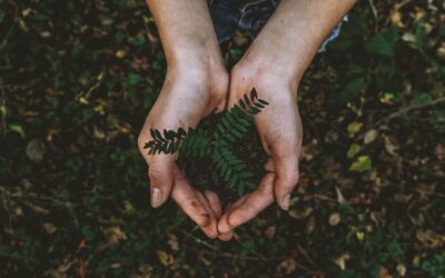 TERRA É O MAIS BONITO DOS PLANETAS, TÃO TE MALTRATANDO POR DINHEIRO…